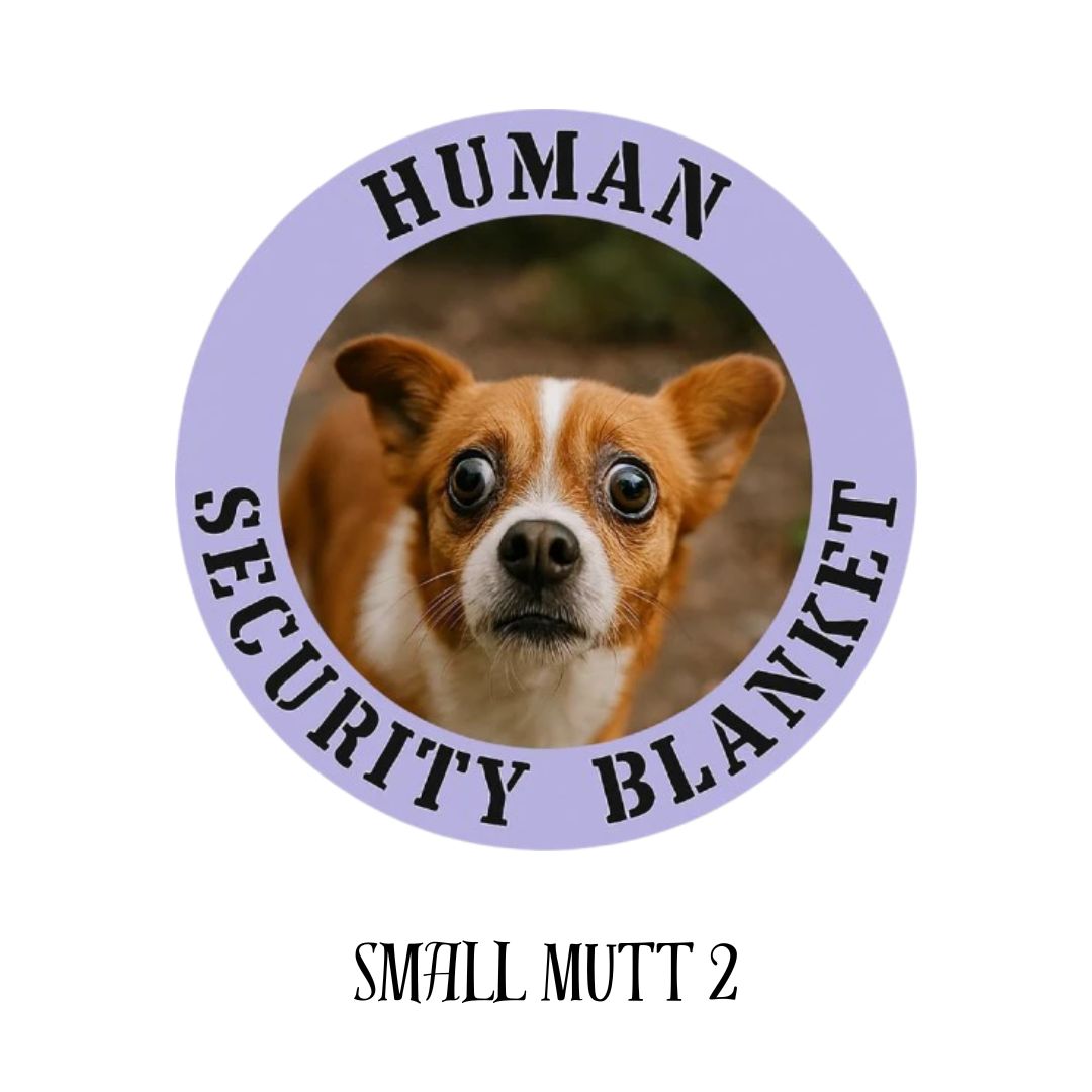Small Mutt 3