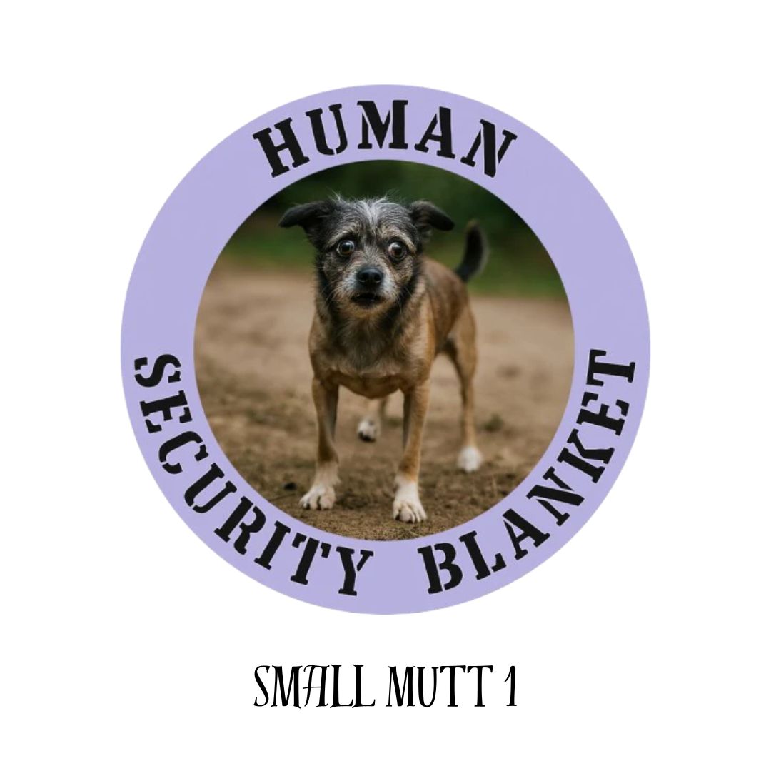 Small Mutt 2