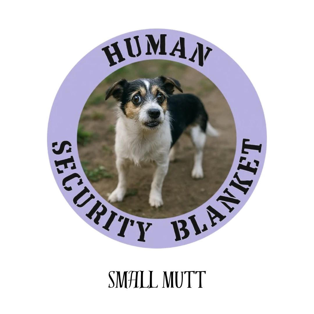 Small Mutt 1
