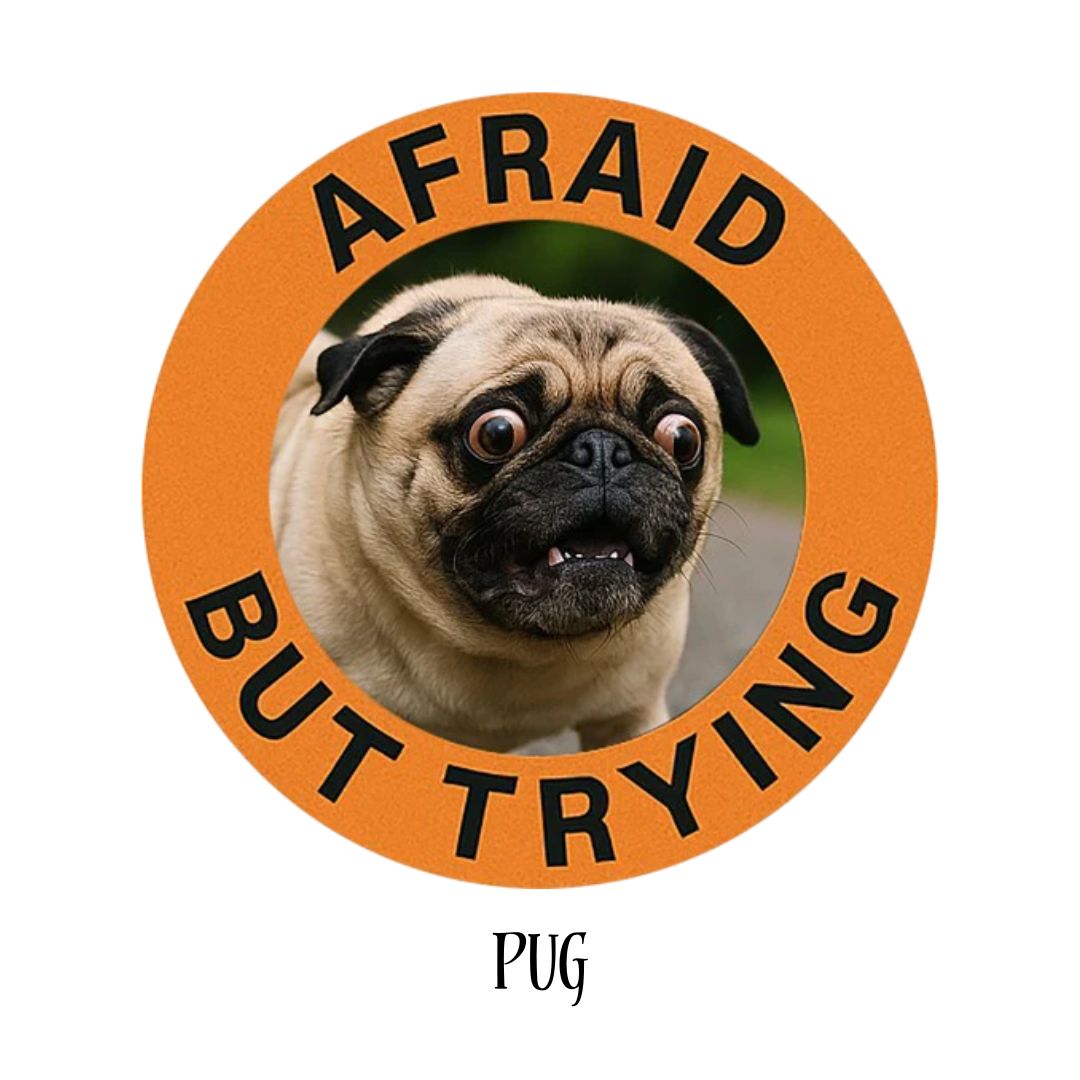Pug