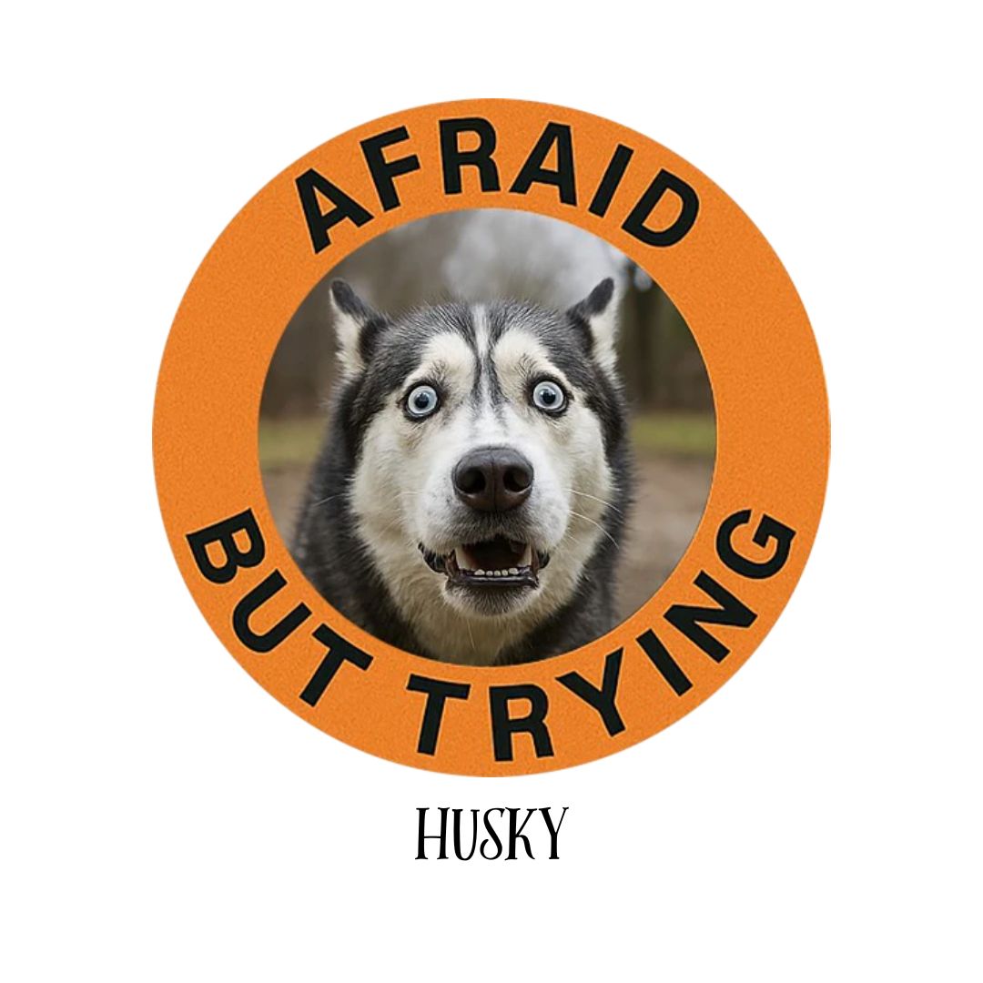 Husky