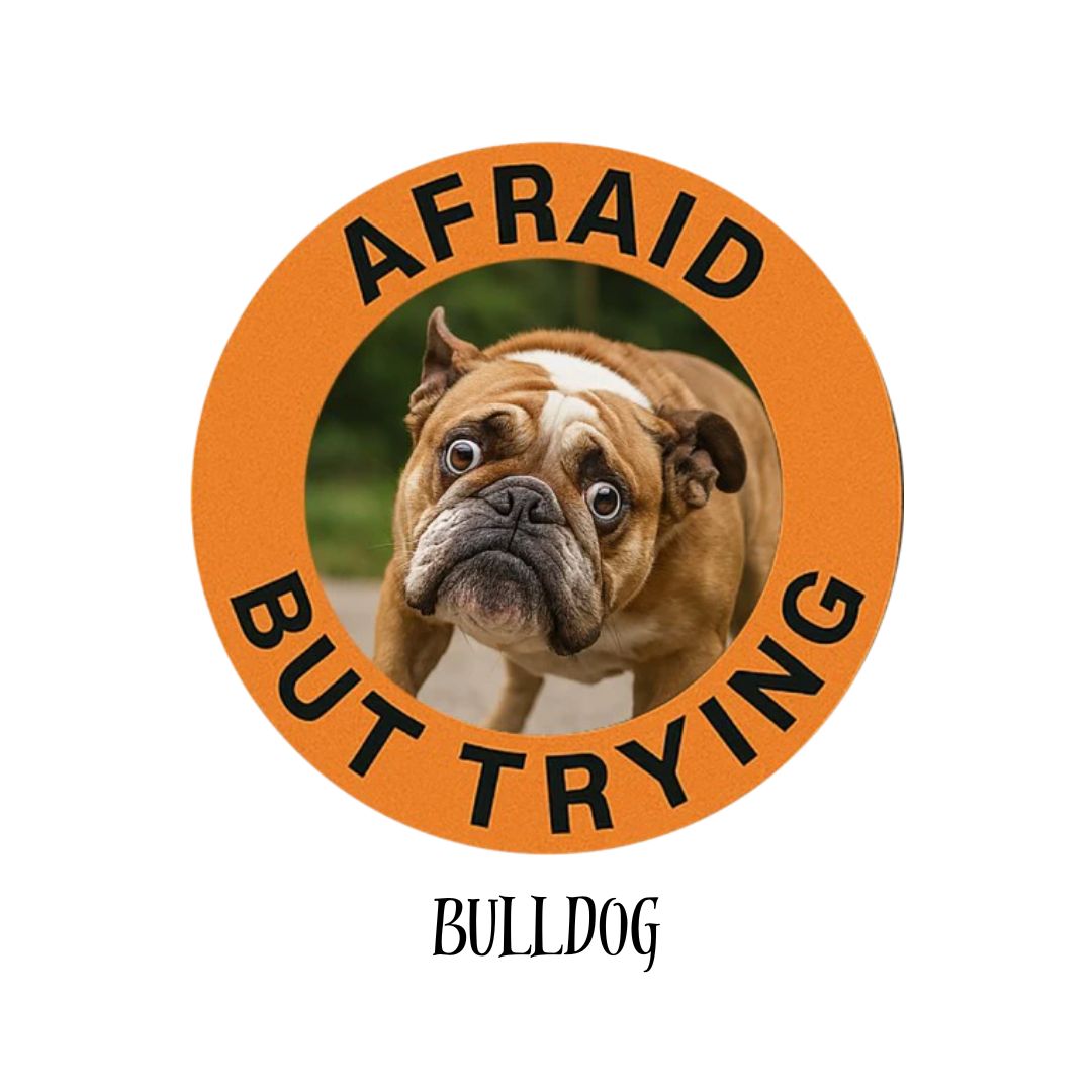 Bulldog