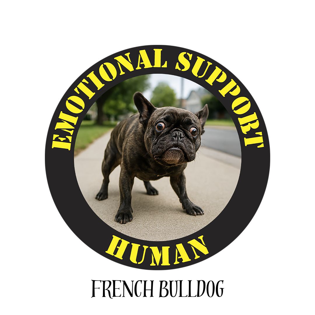 French Bulldog
