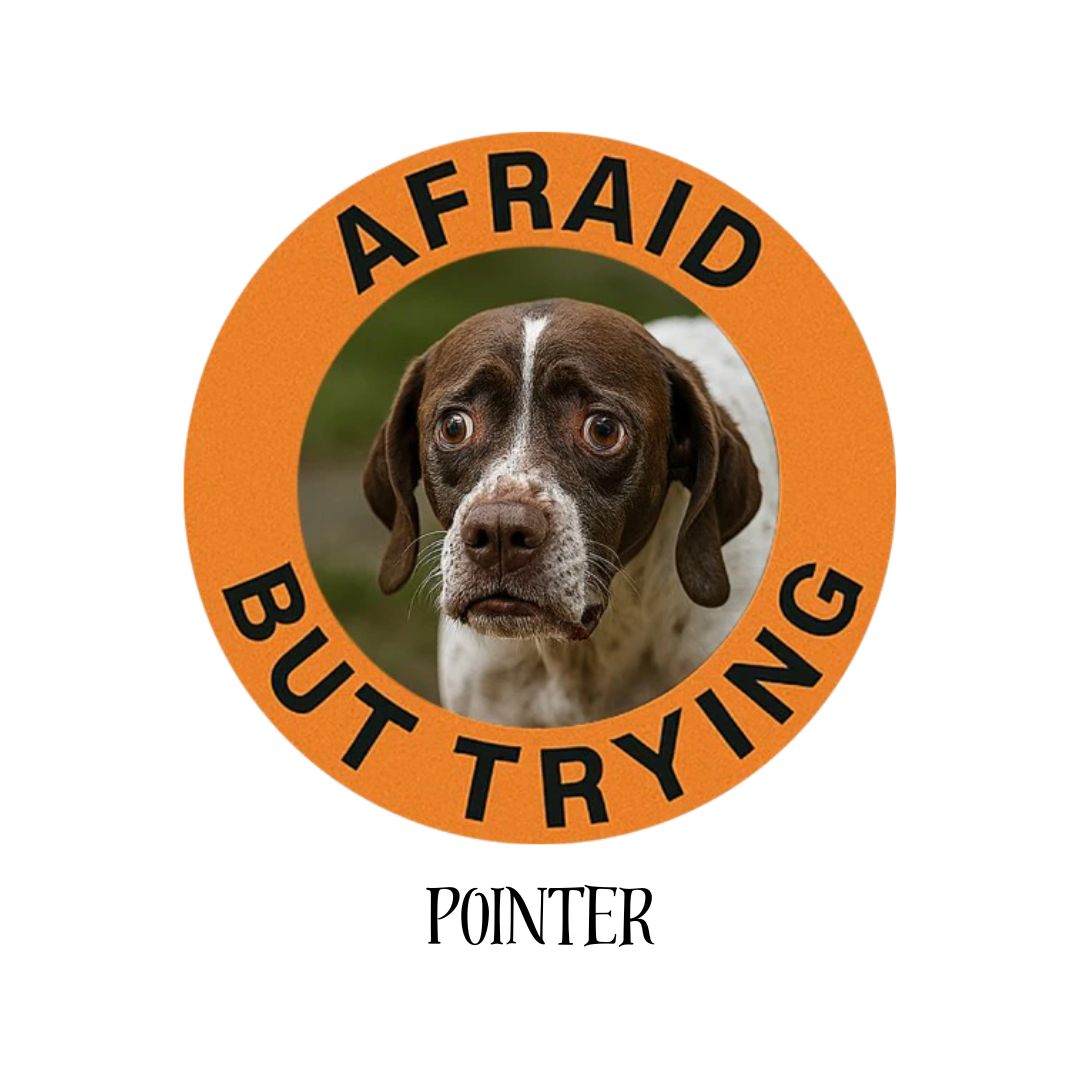 Pointer