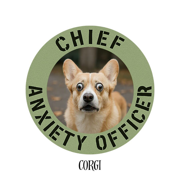 Corgi