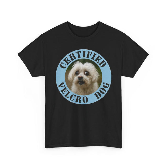 Maltese Certified Velcro Dog T‑Shirt — Funny Pet Lover Tee with Cute Pup Portrait