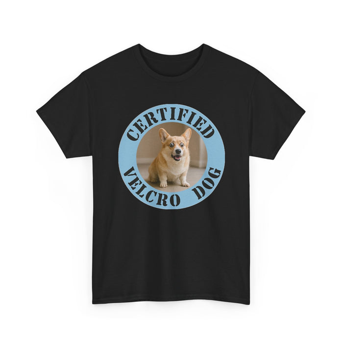 T-Shirt — "Certified Velcro Dog" Corgi Graphic Tee