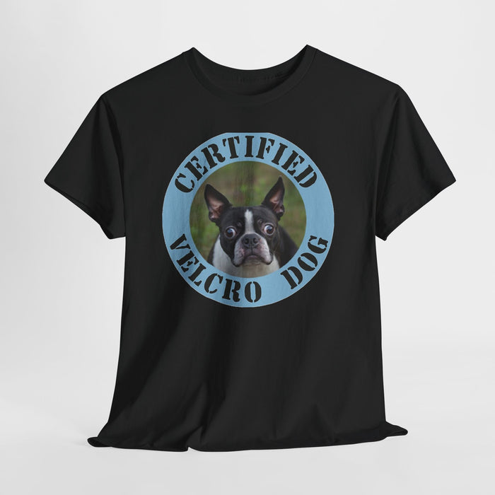 Certified Velcro Dog T-Shirt — Funny Boston Terrier Pet Tee