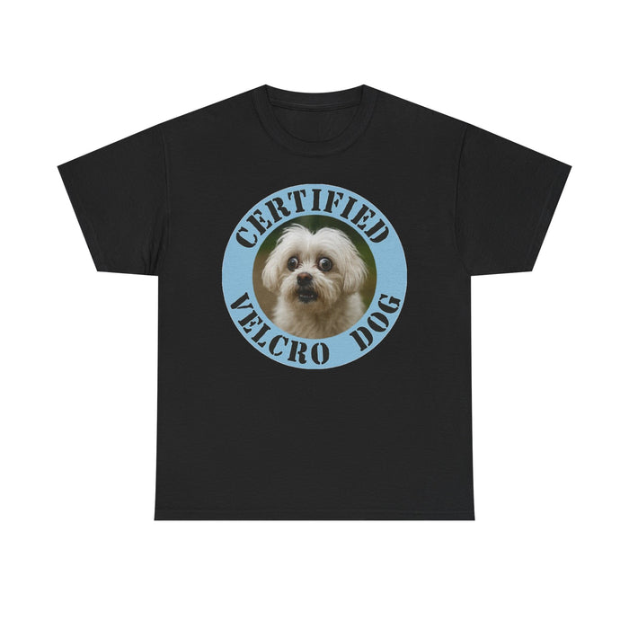 Maltese Certified Velcro Dog T‑Shirt — Funny Pet Lover Tee with Cute Pup Portrait