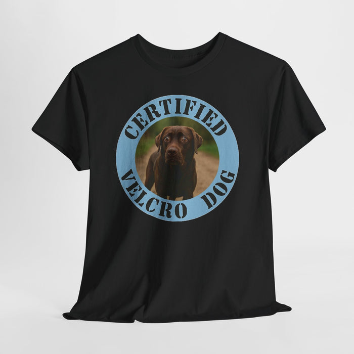 Labrador retriever Certified Velcro Dog T‑Shirt – Funny Pet Owner Tee
