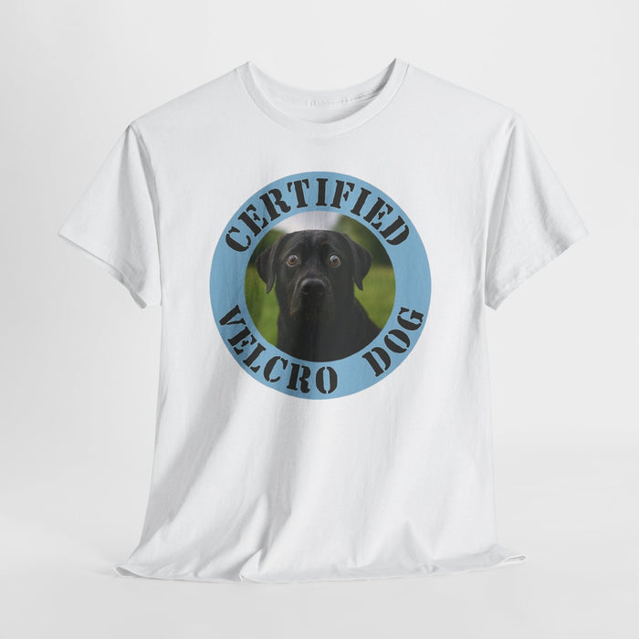 Labrador retriever Certified Velcro Dog T‑Shirt — Funny Black Lab Pet Owner Tee
