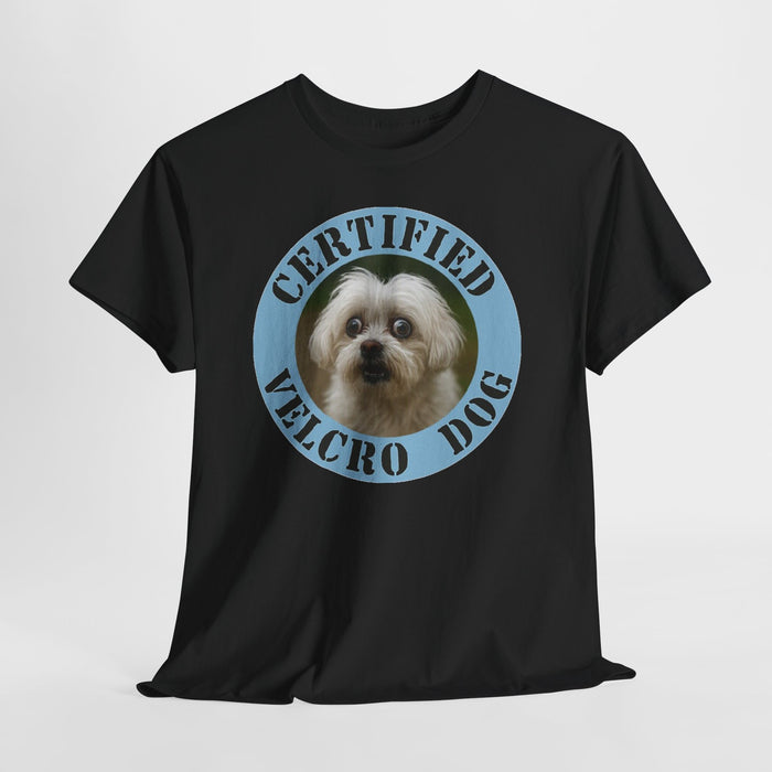 Maltese Certified Velcro Dog T‑Shirt — Funny Pet Lover Tee with Cute Pup Portrait