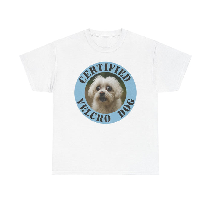 Maltese Certified Velcro Dog T‑Shirt — Funny Pet Lover Tee with Cute Pup Portrait