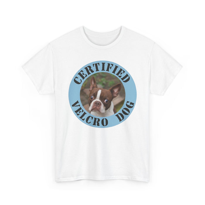 Certified Velcro Dog T-Shirt — Funny Boston Terrier Pet Tee