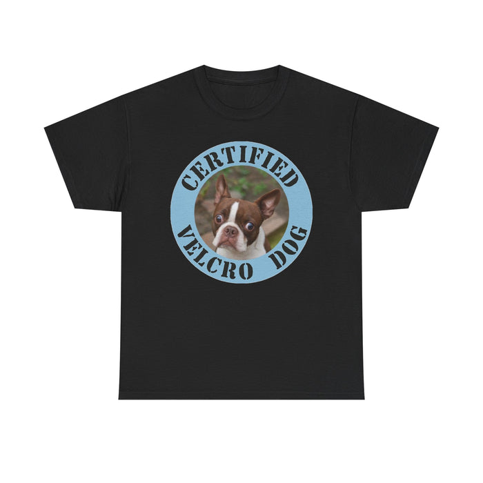 Certified Velcro Dog T-Shirt — Funny Boston Terrier Pet Tee