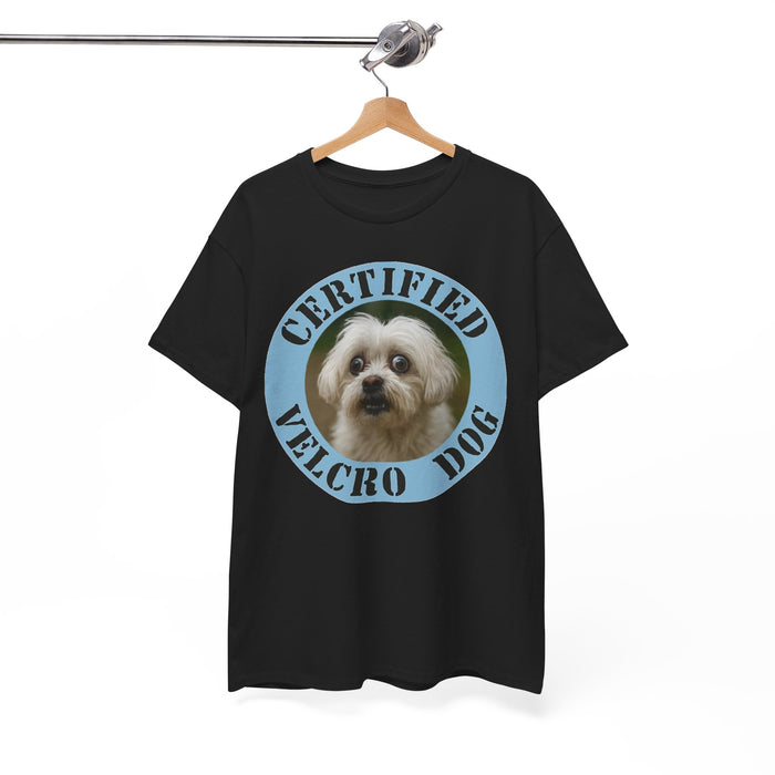 Maltese Certified Velcro Dog T‑Shirt — Funny Pet Lover Tee with Cute Pup Portrait