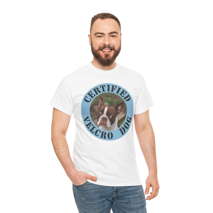 Certified Velcro Dog T-Shirt — Funny Boston Terrier Pet Tee