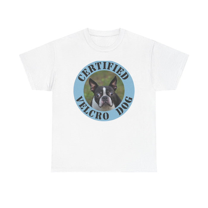 Certified Velcro Dog T-Shirt — Funny Boston Terrier Pet Tee