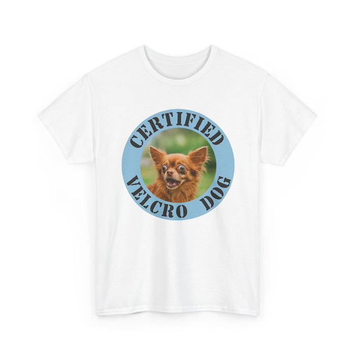 T-Shirt — "Certified Velcro Dog" Cute Chihuahua Graphic Tee