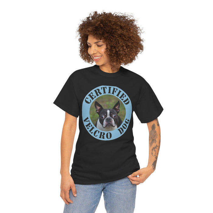 Certified Velcro Dog T-Shirt — Funny Boston Terrier Pet Tee
