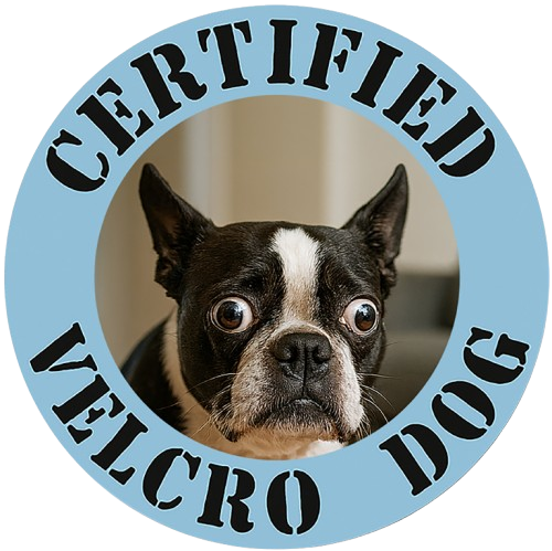 Certified Velcro Dog T‑Shirt — Funny Boston Terrier Pet Lover Tee