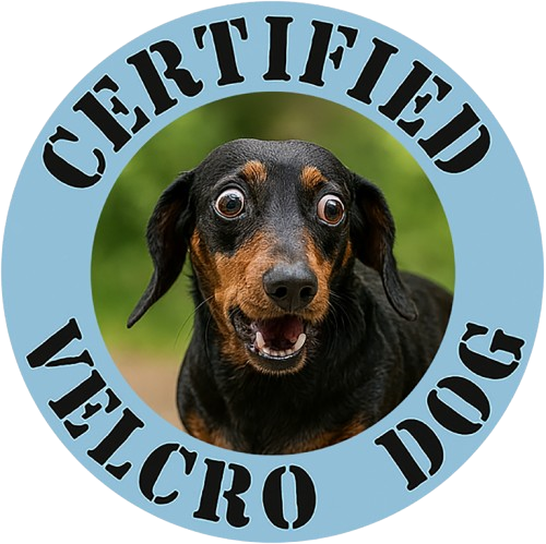 T‑Shirt — "Certified Velcro Dog" Funny Dog Lover Tee