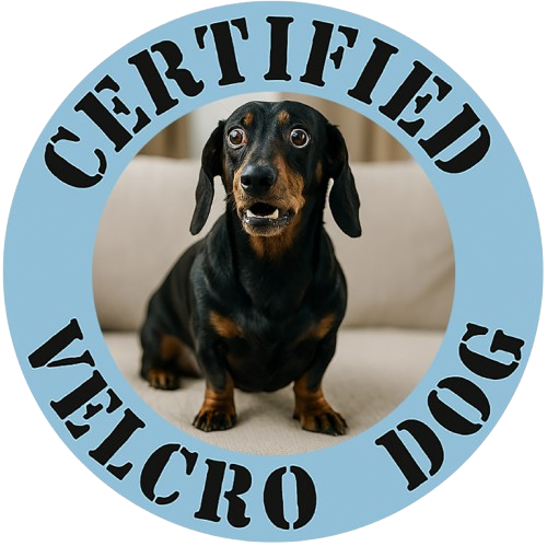 Certified Velcro Dog T‑Shirt — Funny Dachshund Pet Lover Tee