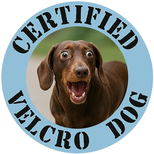 T-Shirt — "Certified Velcro Dog" Funny Dog Lover Tee