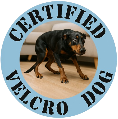 Certified Velcro Dog T‑Shirt