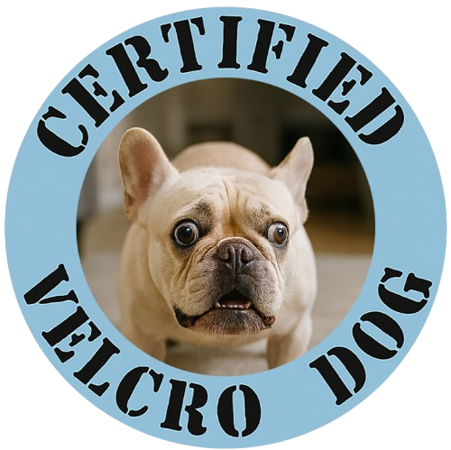 Certified Velcro Dog T-Shirt — Funny French Bulldog Pet Tee