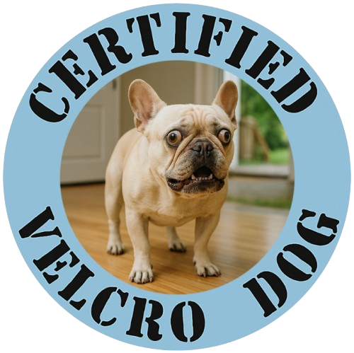 Certified Velcro Dog T‑Shirt — Funny French Bulldog Design