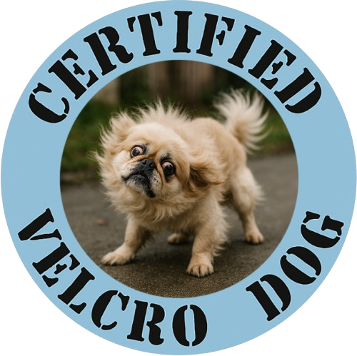 Certified Velcro Dog T-Shirt — Funny Small Dog Photo Tee
