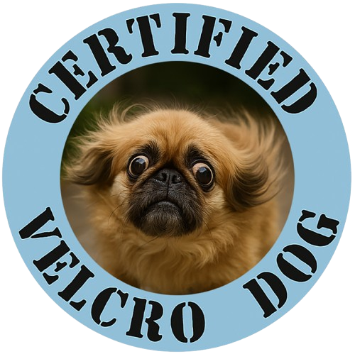 Certified Velcro Dog T-Shirt