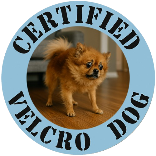 Certified Velcro Dog T‑Shirt – Funny Pet Lover Tee