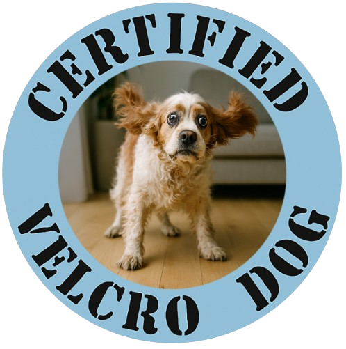 T-Shirt — "Certified Velcro Dog" Vintage Pet Photo Tee