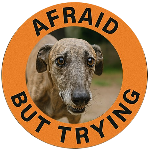 Afraid But Trying Tee — Cute Dog Motivational Graphic T-Shirt