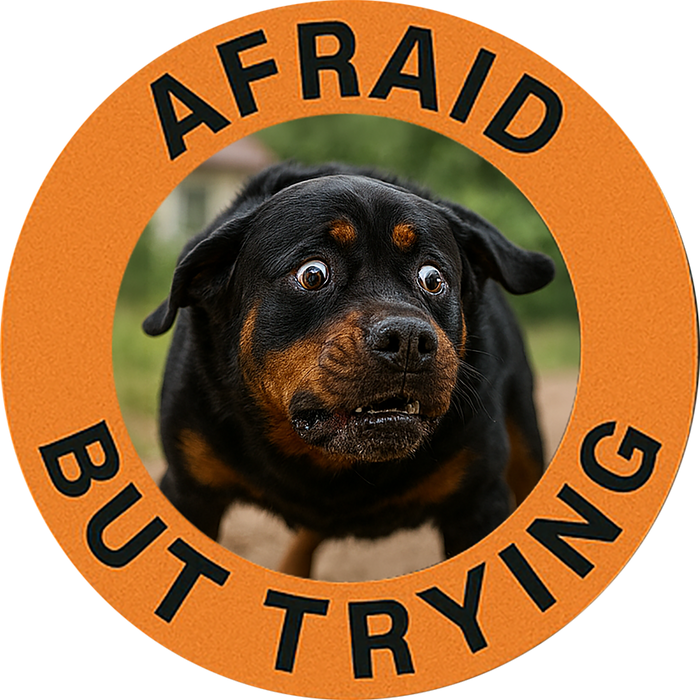 Afraid But Trying Tee — Cute Rottweiler Motivational Dog T-Shirt