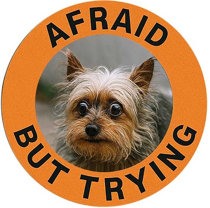 Afraid But Trying T-Shirt — Cute Dog Motivational Tee