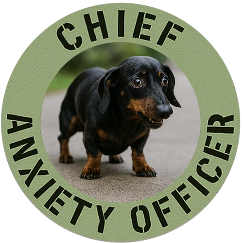 Chief Anxiety Officer T-Shirt — Cute Dachshund Pet Humor Tee