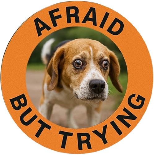 Afraid But Trying Tee — Cute Beagle Dog Motivational Graphic T-Shirt