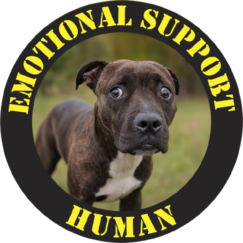 Pit Bull Emotional Support Human T-Shirt — Dog Photo Funny Support Animal Tee