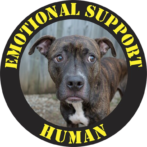 Pit Bull Emotional Support Human T-Shirt — Dog Photo Rescue Pet Lover Tee
