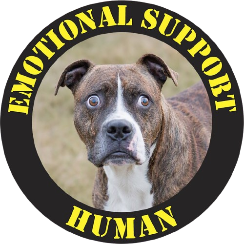 Pit Bull Emotional Support Human Tee — Dog Photo Rescue Pet Lover T-Shirt