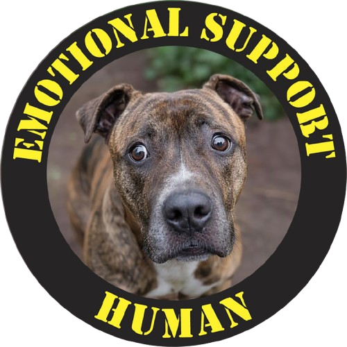 Pit Bull Emotional Support Human T‑Shirt — Cute Dog Photo Tee for Dog Lovers