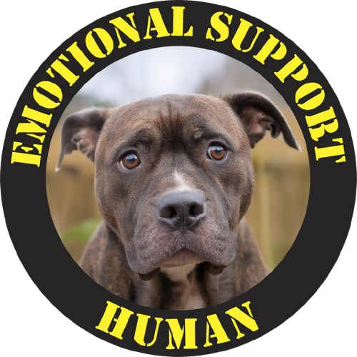 Pit bull Emotional Support Human T-Shirt – Cute Dog Photo Tee