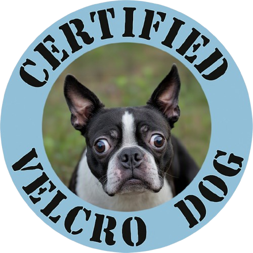 Certified Velcro Dog T-Shirt — Funny Boston Terrier Pet Tee