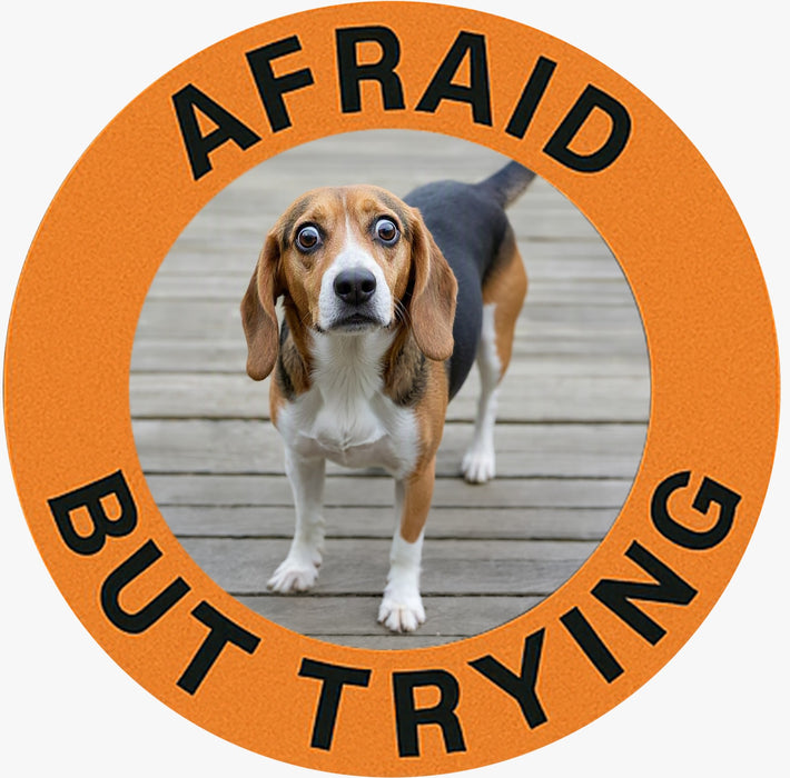 Beagle Afraid But Trying T‑Shirt — Cute Basset Hound Encouragement Tee