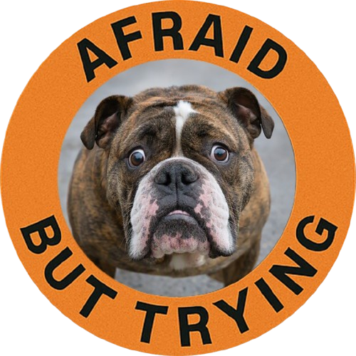 Afraid But Trying Bulldog T-Shirt — Cute Encouragement Graphic Tee