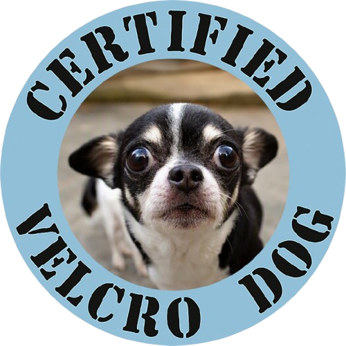 Certified Velcro Dog T‑Shirt — Funny Rescue/Chihuahua Pet Lover Tee
