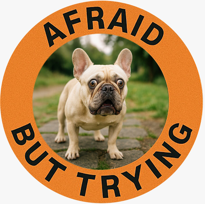 T-Shirt — "Afraid But Trying" French Bulldog Cute Motivational Tee